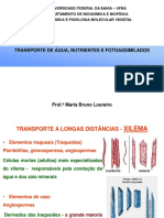 Aula - Transporte de Água e Fotoassimildaos - COMPLETA