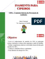 Treinamento Cipa II