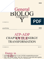 Atp Adp Cycle