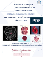 Refuerzo Sistema Cardiovascular