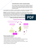 Regulación Emocional