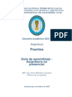 Guía de Aprendizaje 2022-II - PUENTES