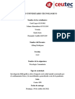 Investigacion Sobre El Impacto en La Salud Mental