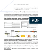 Tema 3 - Mutación y Reparación Del Adn