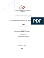 Los Actos Procesales y Los Plazos Del Proceso de Ejecucion