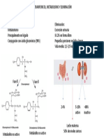 Metabolismo y Excreción Del Cloranfenicol