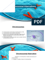 L1 - Chromosomal Aberrations