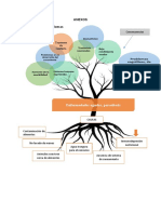 Arbol de Problemas