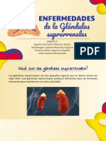 Enfermedades de Las Suprarrenales