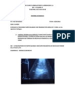 Informe Ecografico