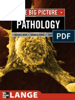 Pathology Completo