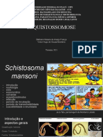 Aula 06 - Esquistossomose PDF