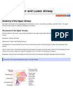 Airway-Ap of The Upper and Lower Airway PDF