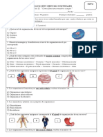 Evaluación Ciencias Naturales Unidad Celula