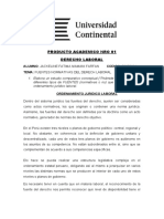 Producto Academico Nro 01 Derecho Laboral