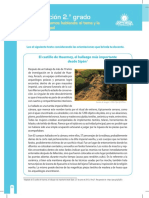 Comunicación 2.° Grado: Ficha: de Qué Estamos Hablando: El Tema y La Idea Principal