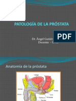 Patología Prostática