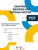 Control Control Nervioso Del Nervioso Del Sistema Motor Sistema Motor