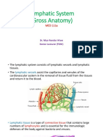 Lymphatic System (Gross Anatomy)