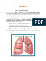 Fisiología Taller N°4