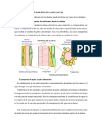 Investigacion Ciencias Naturales