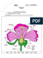 Botany Act11