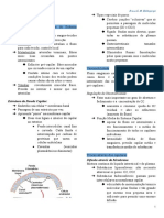 Microcirculação