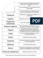 Niveles de Organización de La Materia Sobre La Tierra Nomenclatura