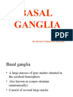 Basal Ganglia: by DR Siti Nordiana Dollah