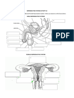 Reproductive Activity Sample Questionnaire