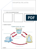 Ficha Importancia Del Agua