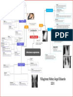 Infecciones Respiratorias Villagómez Núñez Angel Eduardo 2231