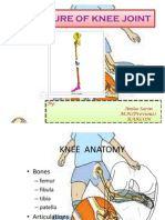 Knee Structure