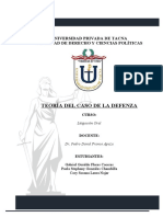 Teoria Del Caso Defenza 2