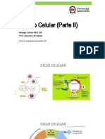 Ciclo Celular (Parte II) : Biología Celular BIOL 130 Prof. Alejandro Arriagada