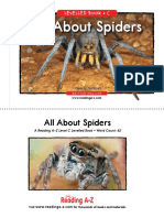 All About Spiders