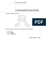 1.4 DNA and Protein Synthesis