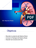 1.fisiología Renal