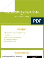 LAB 8 - Salmonella & Shigella