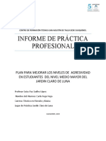 Informe de Práctica Profesional