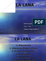 Trabajo de La Lana (Power Point)