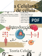 Teoría Celular y Tipos de Célula