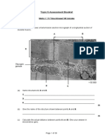 Topic 5 Assessment Booklet: Marks 1'9 Time Allowed 165 Minutes