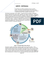 LAB 09 Cell Division