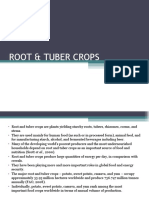 ROOT CROPS Lecture