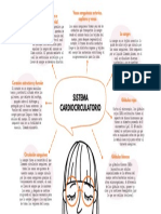 Mapa Mental Sistema Cardiovascular Luis Ferando 4C