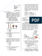 Prueba Trimestral Iii Ciencias - Biotecnologia Sexto J.T.