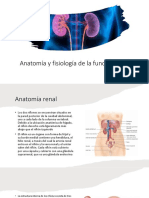 Anatomía y Fisiología de La Función Renal