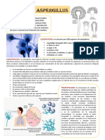 ASPERGILLUS