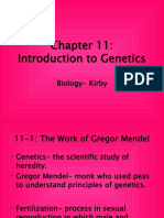 Introduction To Genetics: Biology-Kirby